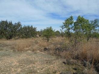 Foto 3 de Terreny en venda a Partida Terrer y Otras, S/n, Torres Torres, Valencia