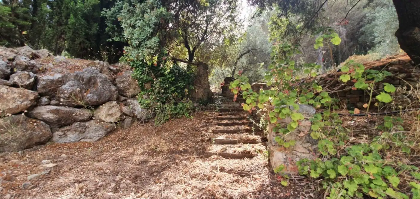 Terreni e lotti in vendita a Yunquera, imagen 20