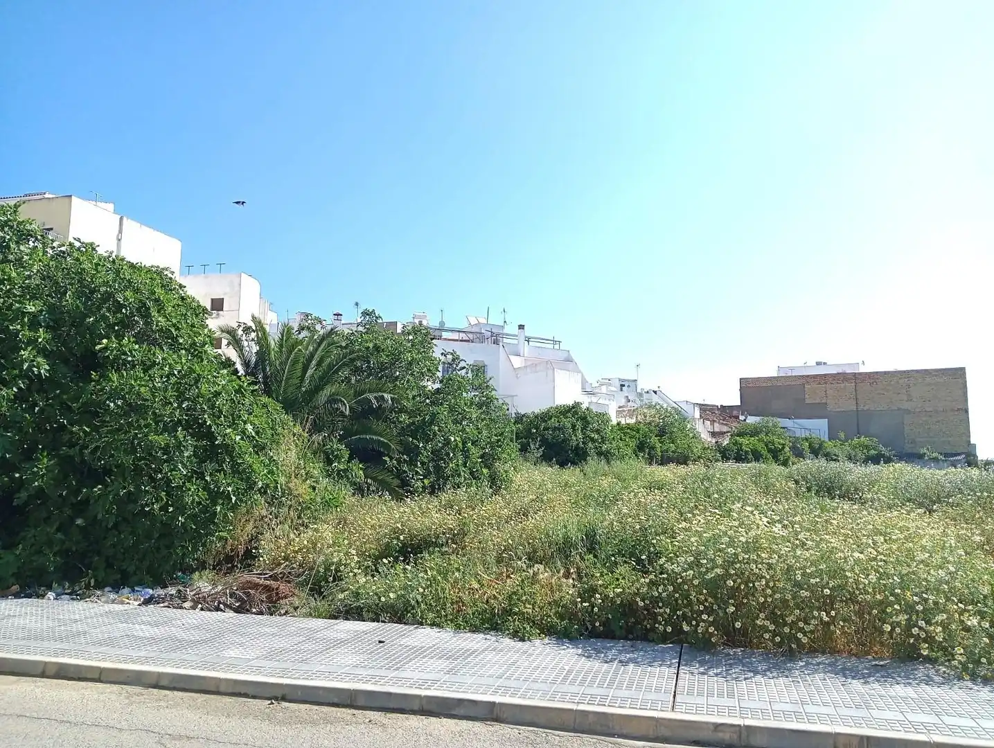 Maison avec terrasse à vendre à Alcalá del Río, imagen 13