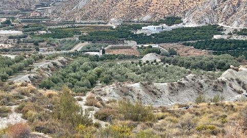 Photo 3 of Land for sale in Calle la Fuente, 2, Alicún, Almería