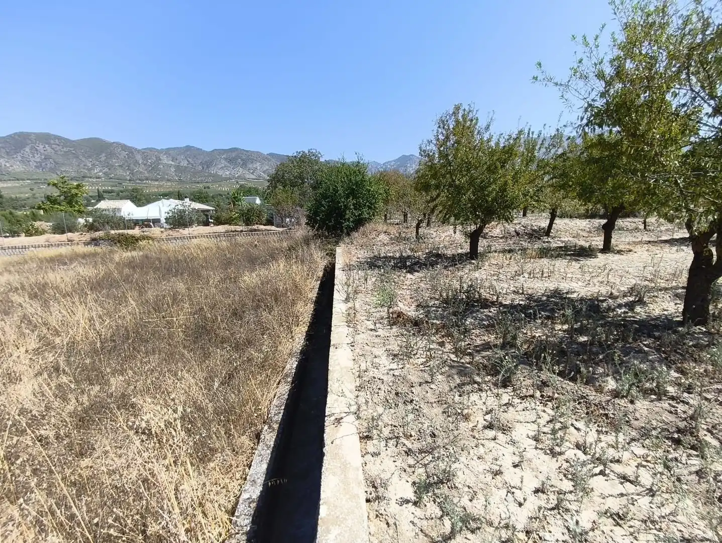 Rural land for sale in 2C55+9GC Cozvijar 0, imagen 26