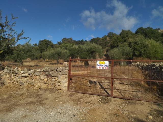 Terreno en Venta en Arroyomolinos (Cáceres)