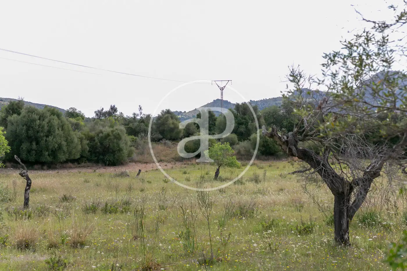 Terreny residencial en venda a Av. Montferrutx, imagen 36