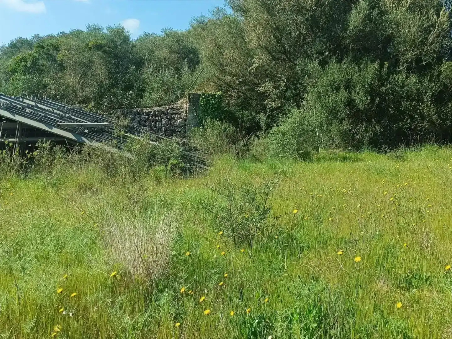 Land for sale in Alaior