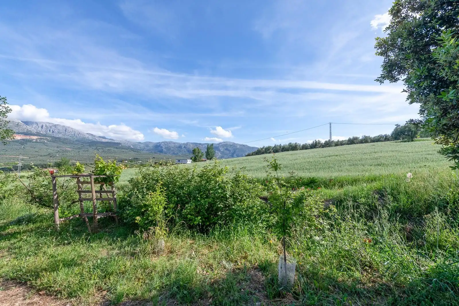 Casa rústica con jardín en venta en Villanueva del Trabuco, imagen 27