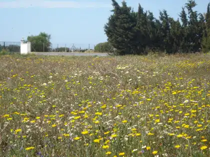 Terreni e lotti in vendita a Vejer, imagen 11