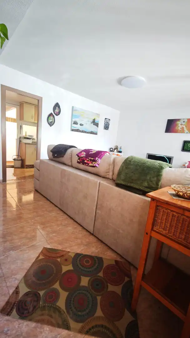 Living room of Detached homes for sale in Roquetas de Mar  with Terrace