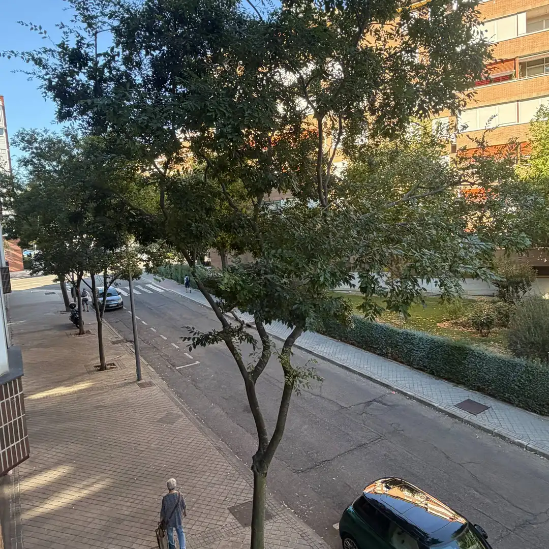 Vista exterior de Piso en venta en Madrid con Piscina comunitaria