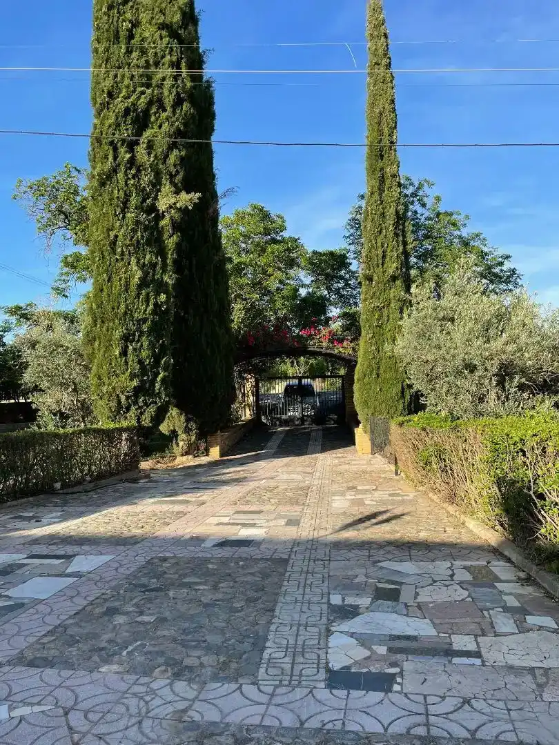 Vista exterior de Casa o chalet en venta en Valle del Zalabí, Granada