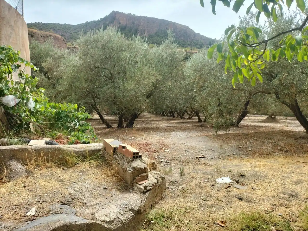 Casa rústica en venda a Lecrín