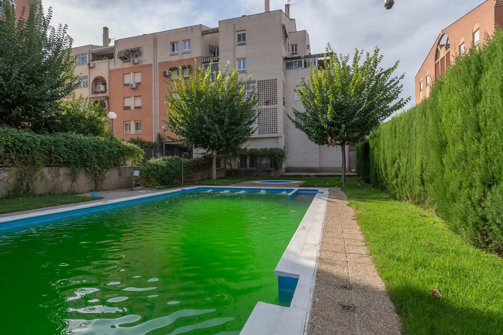 Pis amb piscina en venda a Norte, imagen 64