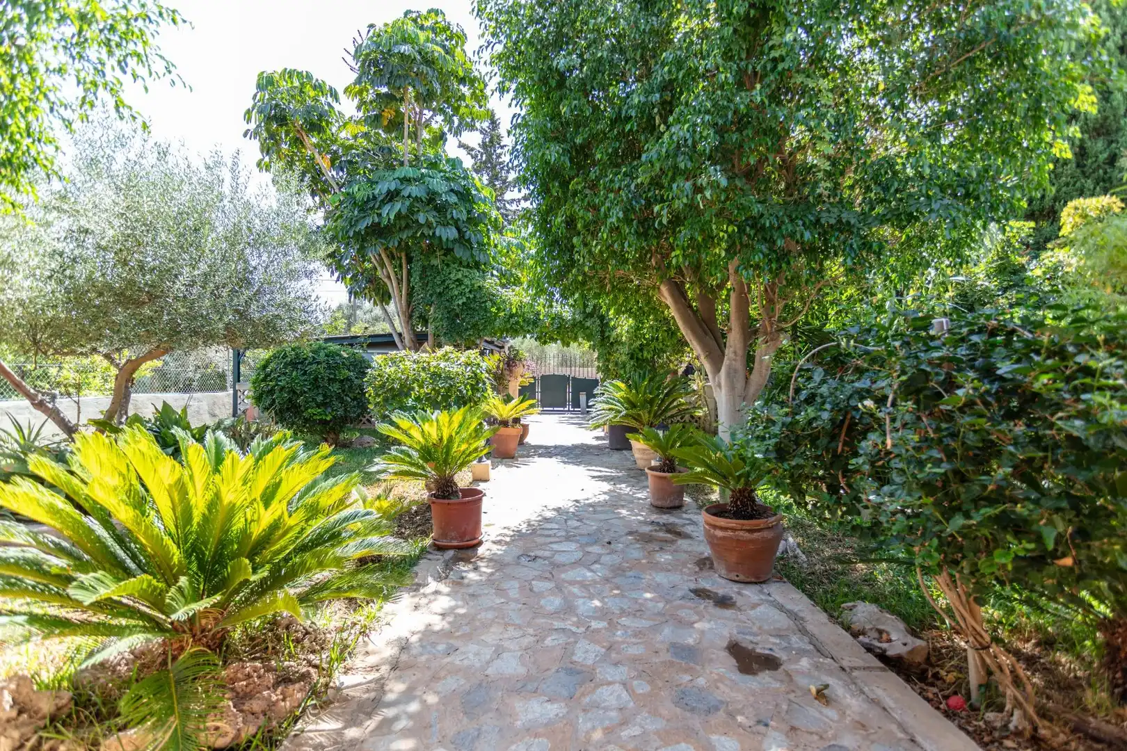 Jardín de Residencial en venta en Marratxí