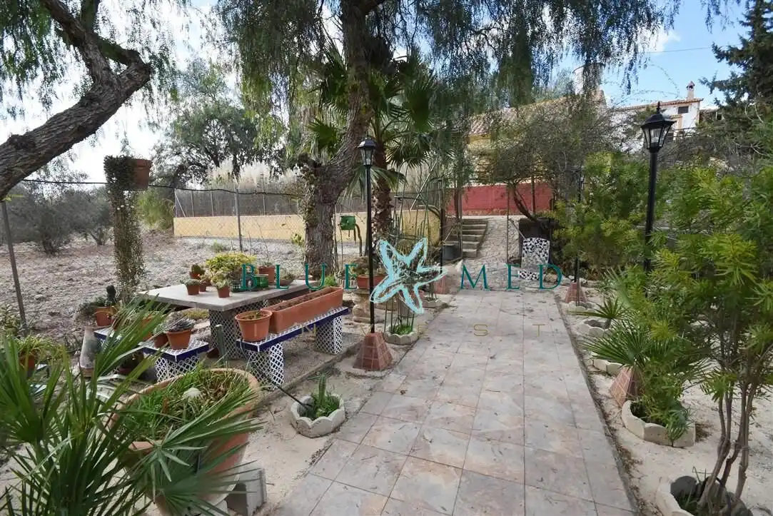Vista exterior de Casa o chalet en venta en Ricote con Calefacción, Jardín privado y Terraza