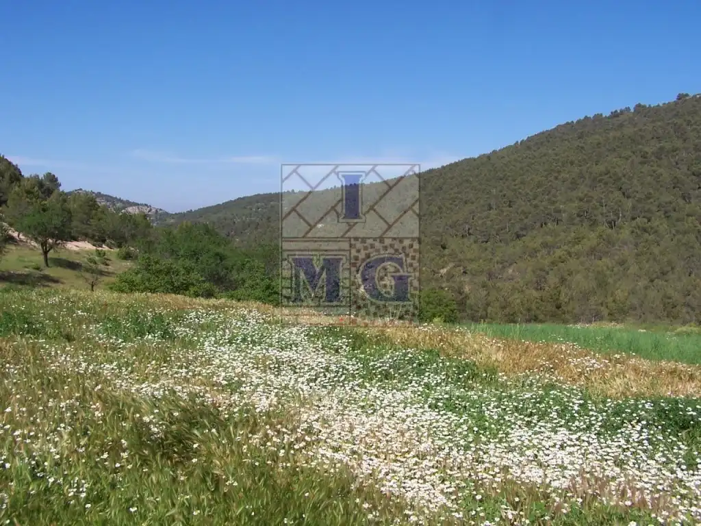 Finca rústica en venta en Yeste