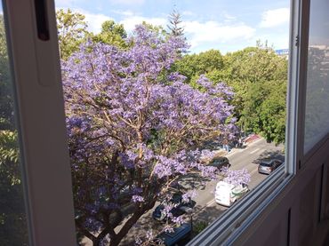 Flat with balcony for sale in Ricardo Soriano 1