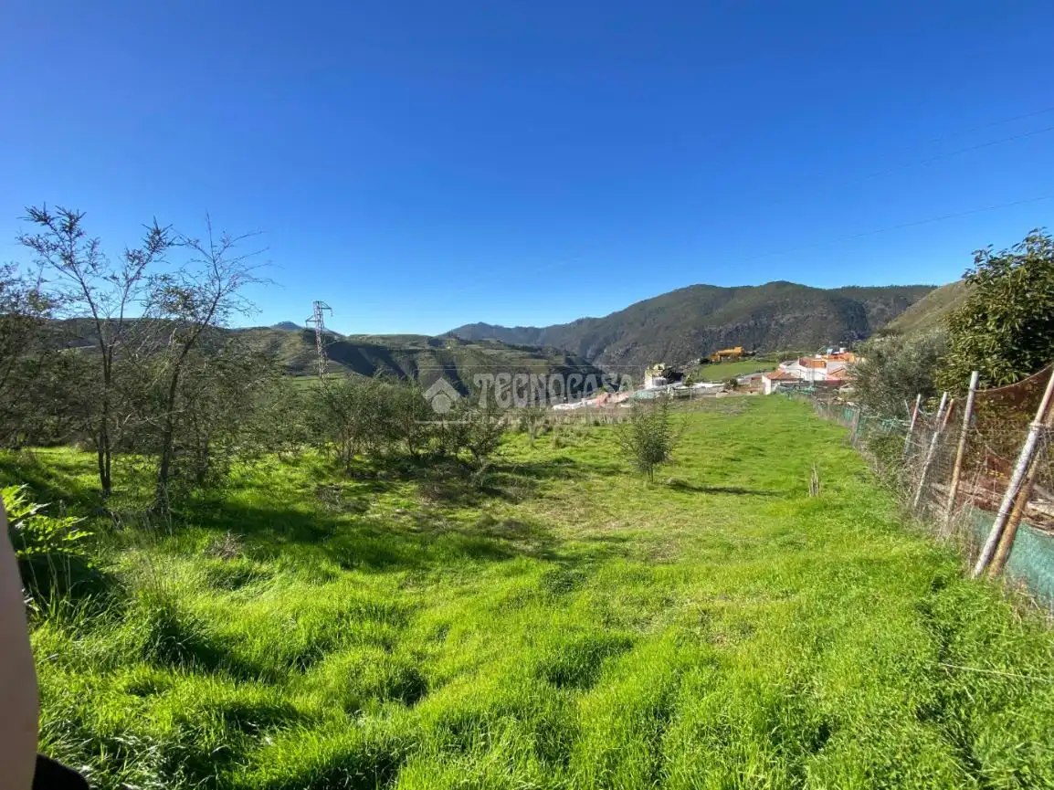 Terreny rústic en venda a Camino del Palo, imagen 4