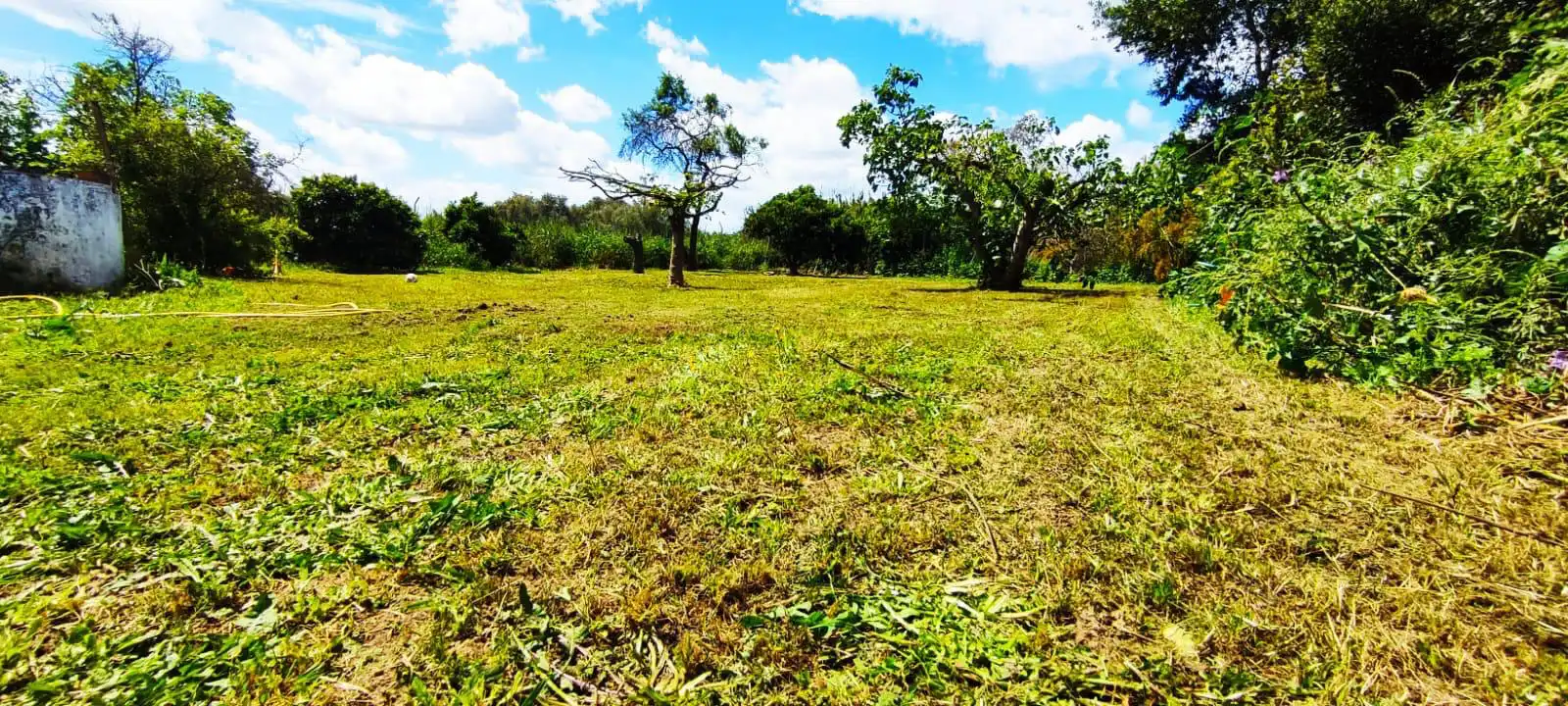 Country homes for sale in Gibraleón  with Air Conditioner, Heating and Private garden