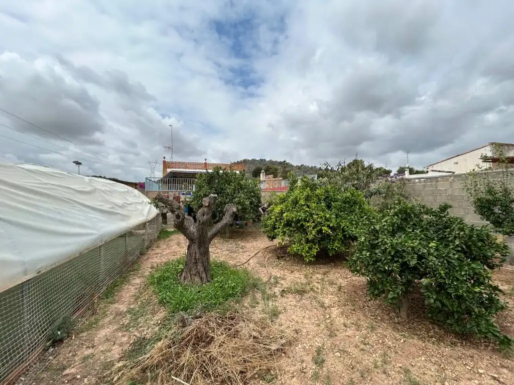 Finca rústica en venda en Sagunto / Sagunt