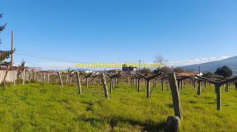 Photo 3 of Residential for sale in Tui, Pontevedra
