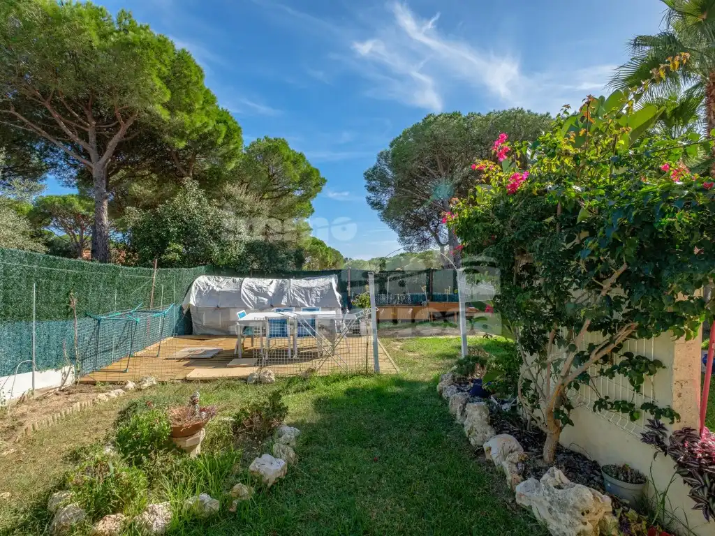 House for sale in Camino Mas Palli, imagen 8