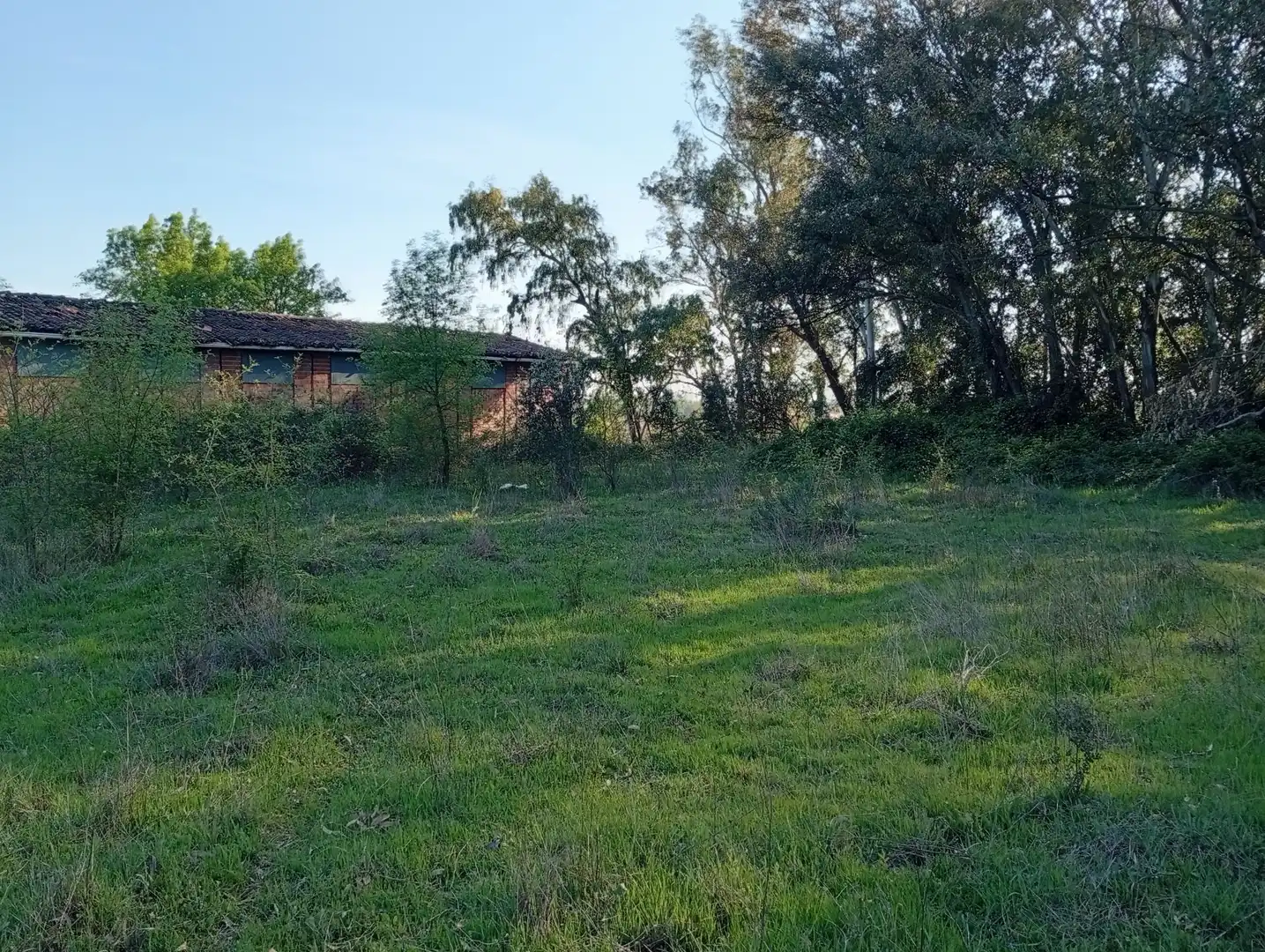 Terreni e lotti in vendita a Villanueva de la Vera, imagen 125