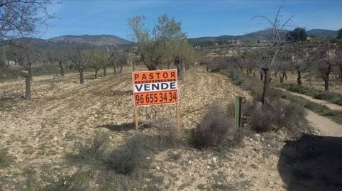 Rústico en venta