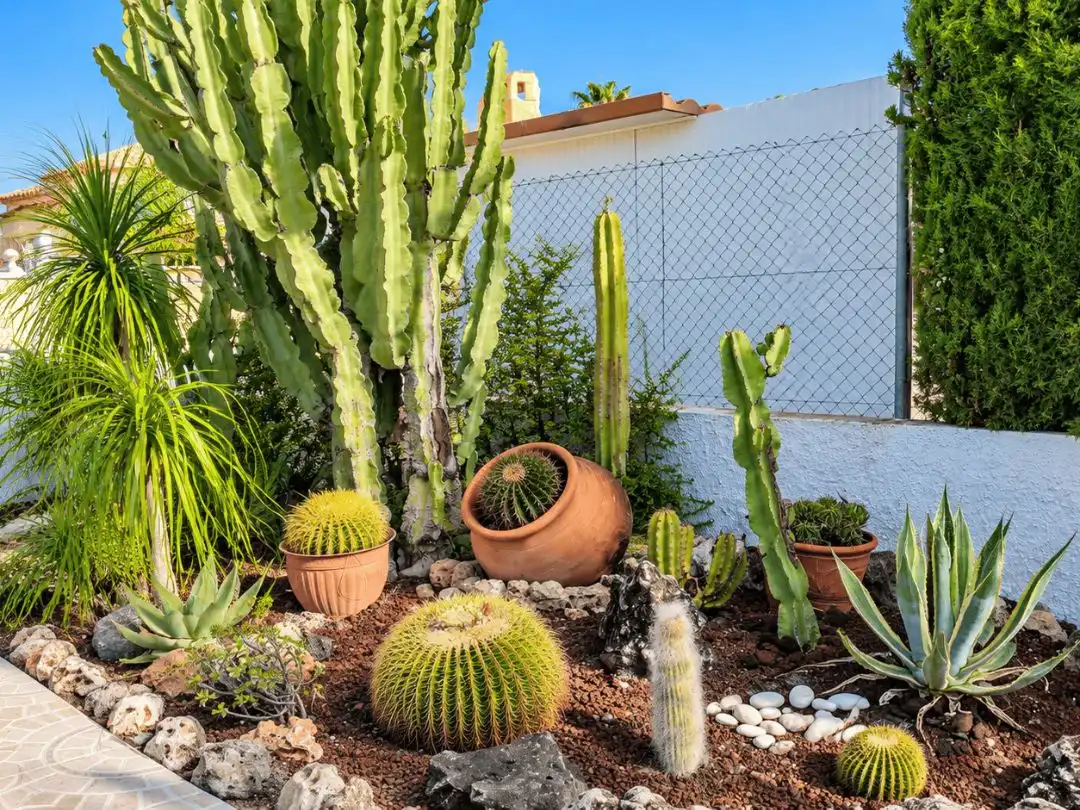 Jardí de Casa o xalet en venda en Benferri amb Aire condicionat, Terrassa i Piscina