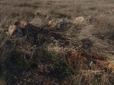 Terreni e lotti in vendita a Quintanar de la Orden