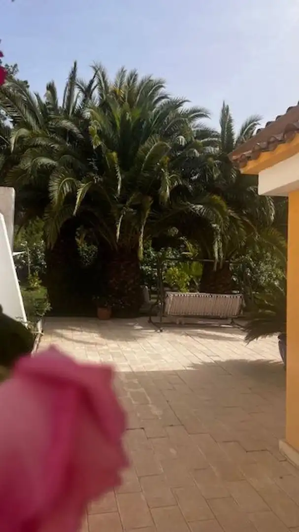Detached house with garden for sale in Calle dels Joncs, imagen 13