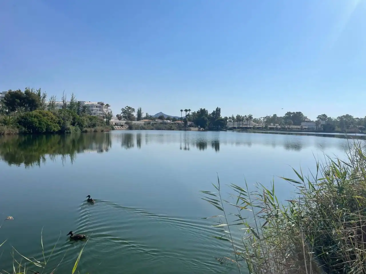 Terreny residencial en venda a Port d'Alcúdia - Platja d'Alcúdia, imagen 10