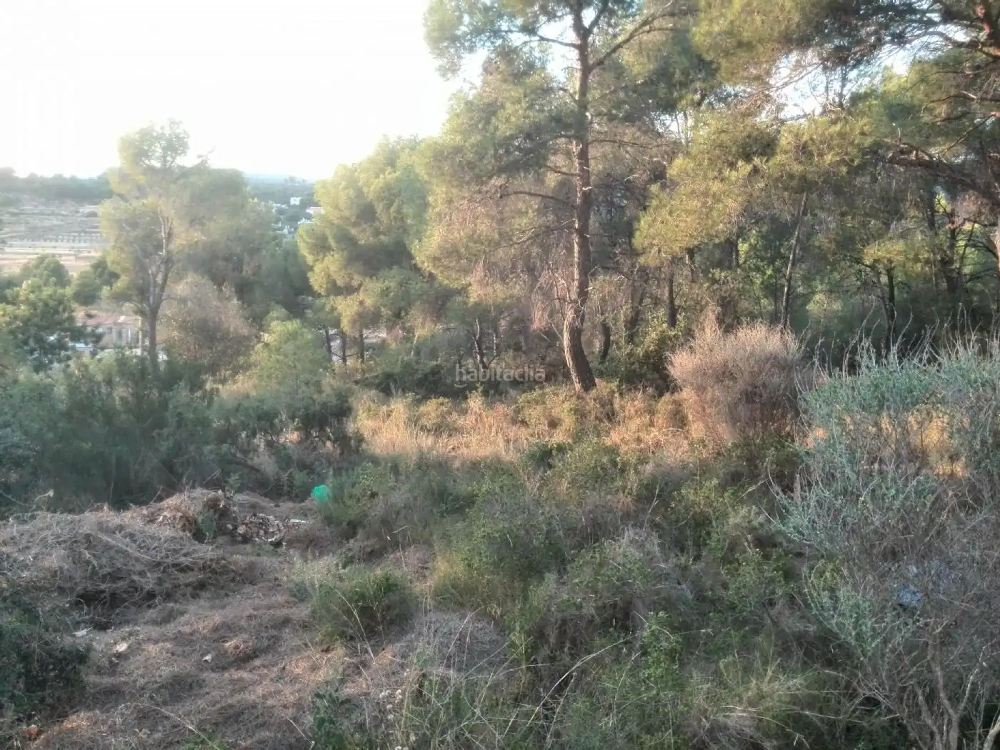 Terreny rústic en venda a Plaça Poligono 11 316, imagen 6