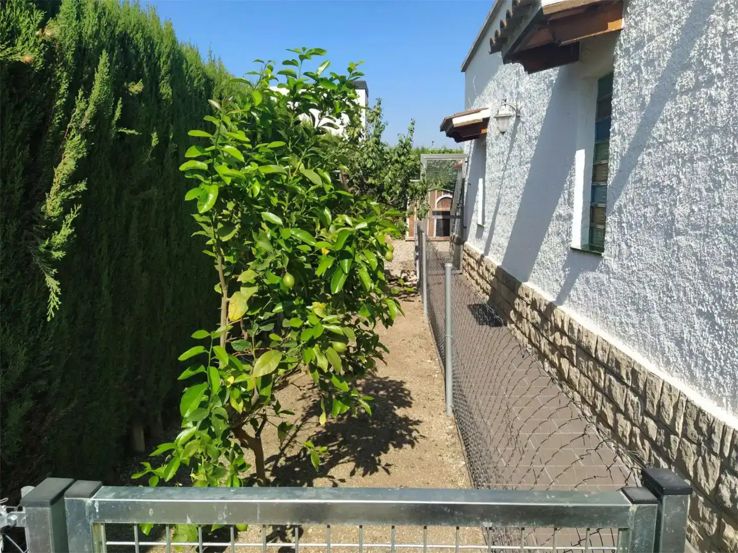 Jardí de Casa adosada en venda en Pacs del Penedès amb Aire condicionat, Jardí privat i Traster