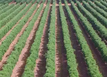 Terreni e lotti in vendita a Alcalá la Real, imagen 4