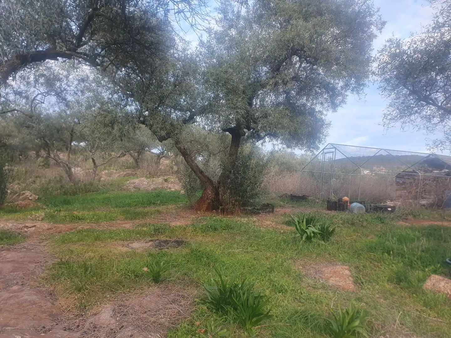 Terreno en venta en Guadalcanal