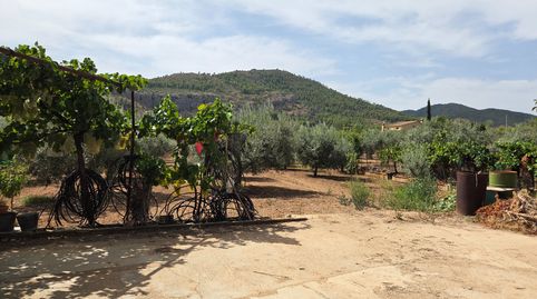 Foto 4 de Finca rústica en venta en Calle Salto del Usero, Bullas, Murcia