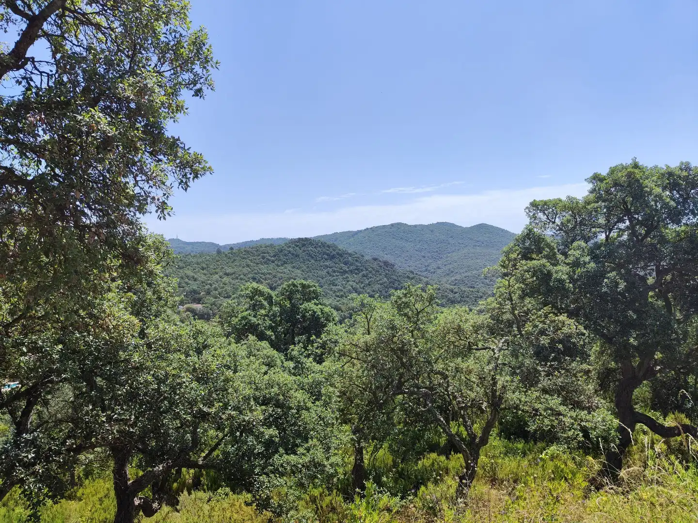Residential land for sale in Llagostera, imagen 4