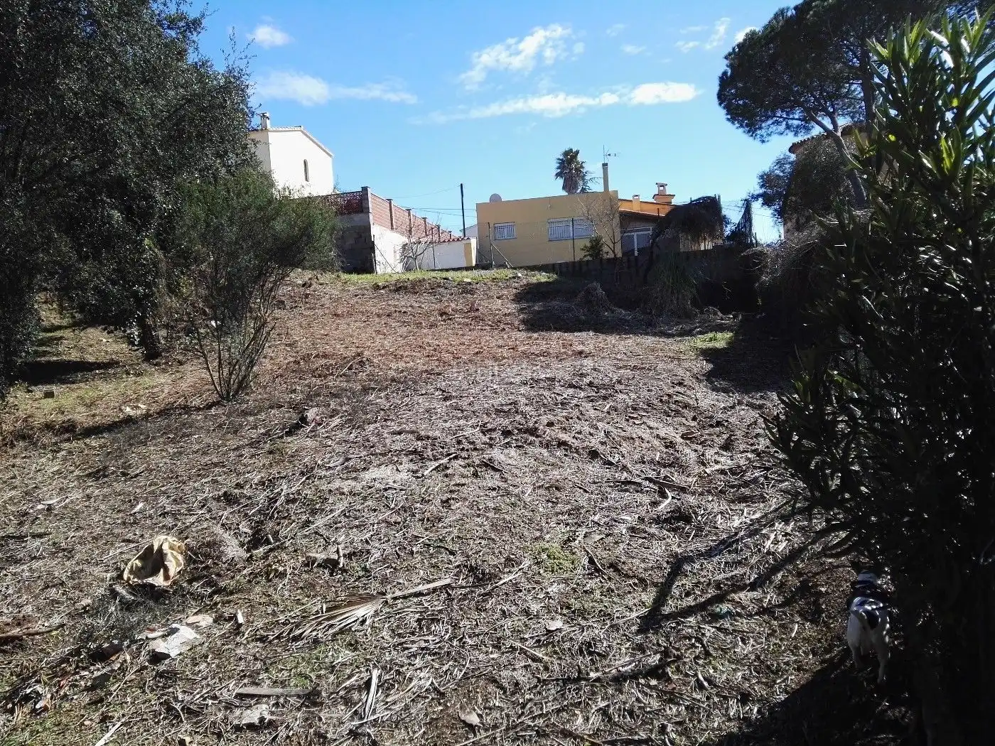 Terreny residencial en venda a Carrer Puig dels Daus 7, imagen 5