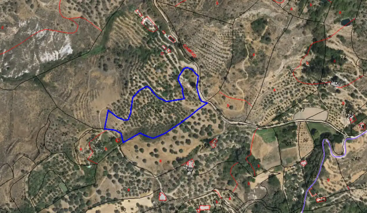 Rural land for sale in 3 . Parcela, 174, imagen 10