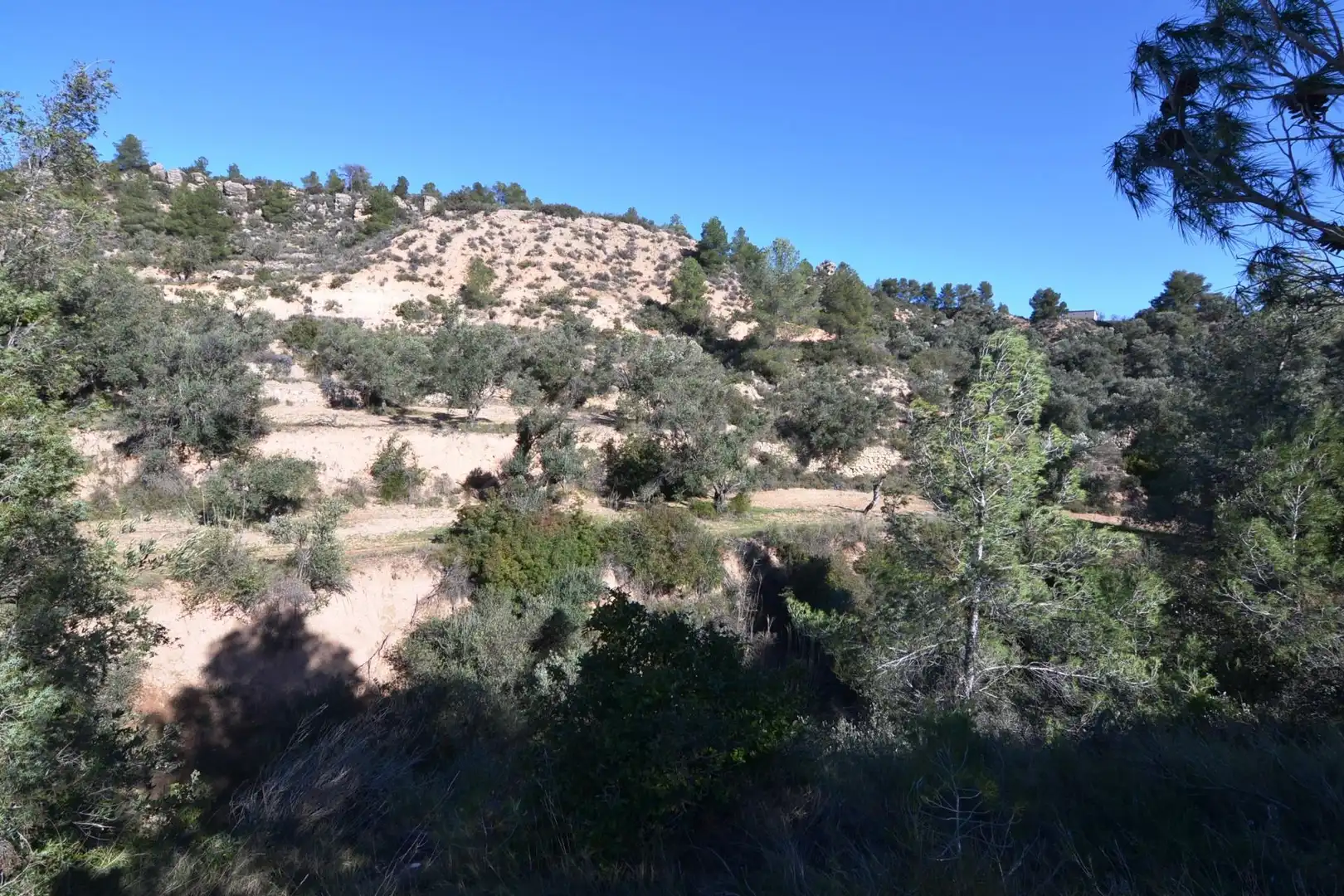 Rural land for sale in Ascó, imagen 25