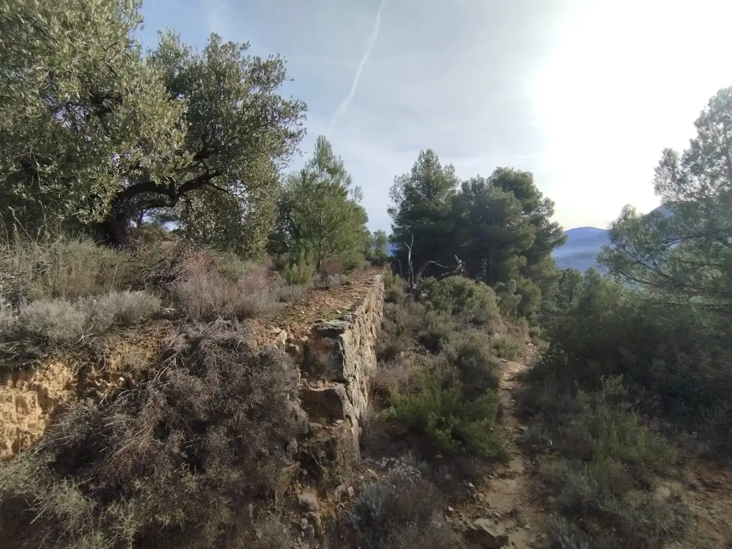 Casa o chalet en venta en Valderrobres con Amueblado