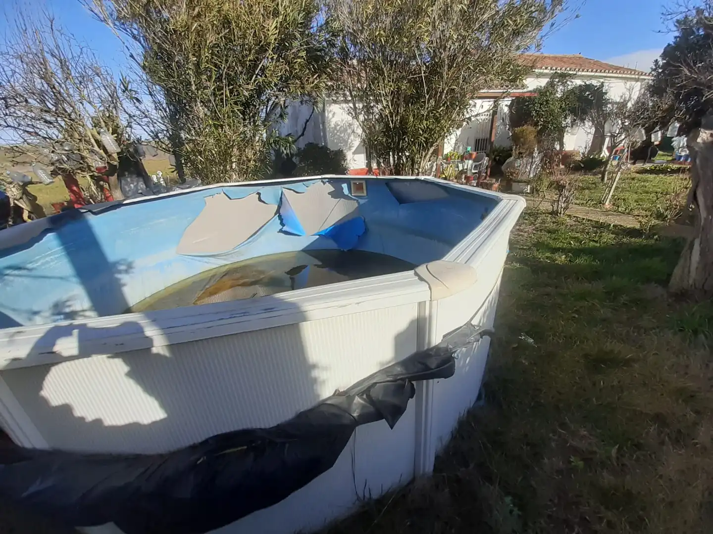 Swimming pool of Country homes for sale in Villaralbo