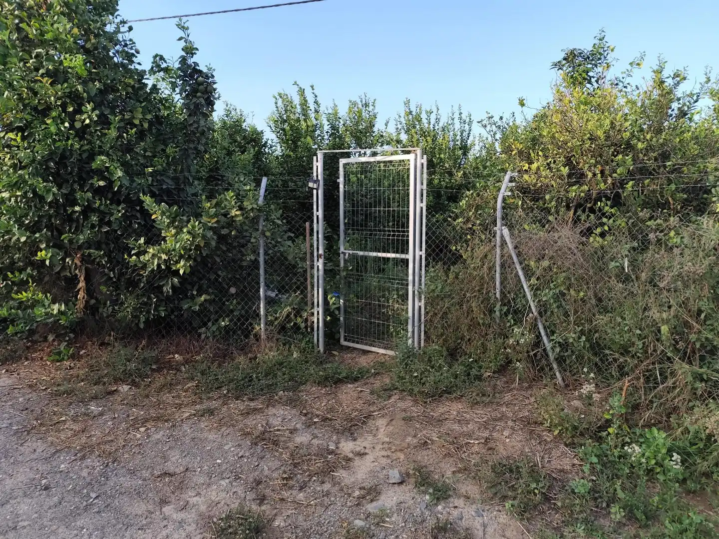 Rustikales Grundstück zum Verkauf in poligono 31, imagen 9