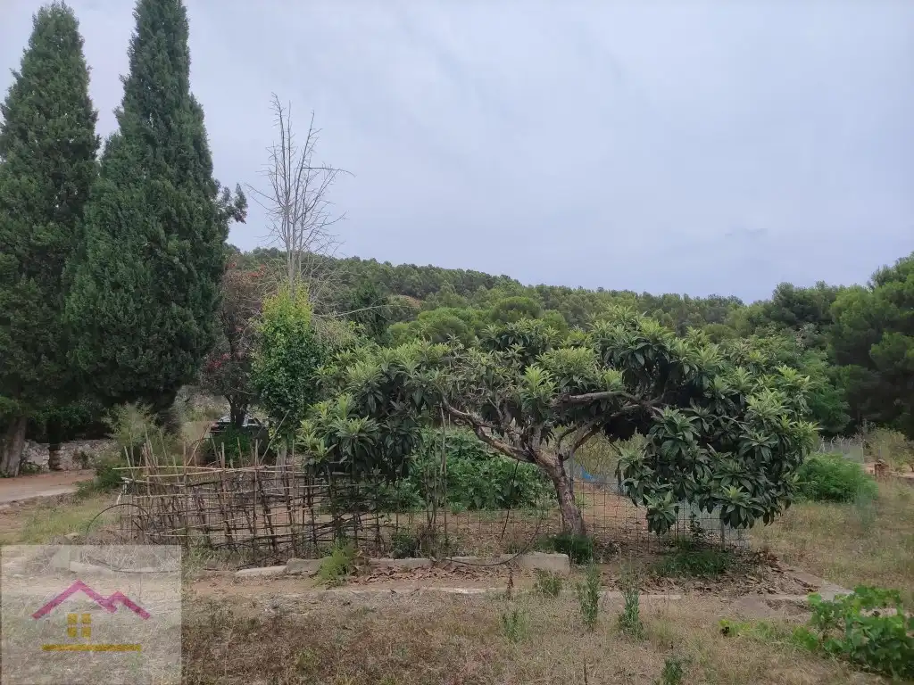 Casa rústica con terraza en venta en Partida Magdalena, imagen 27