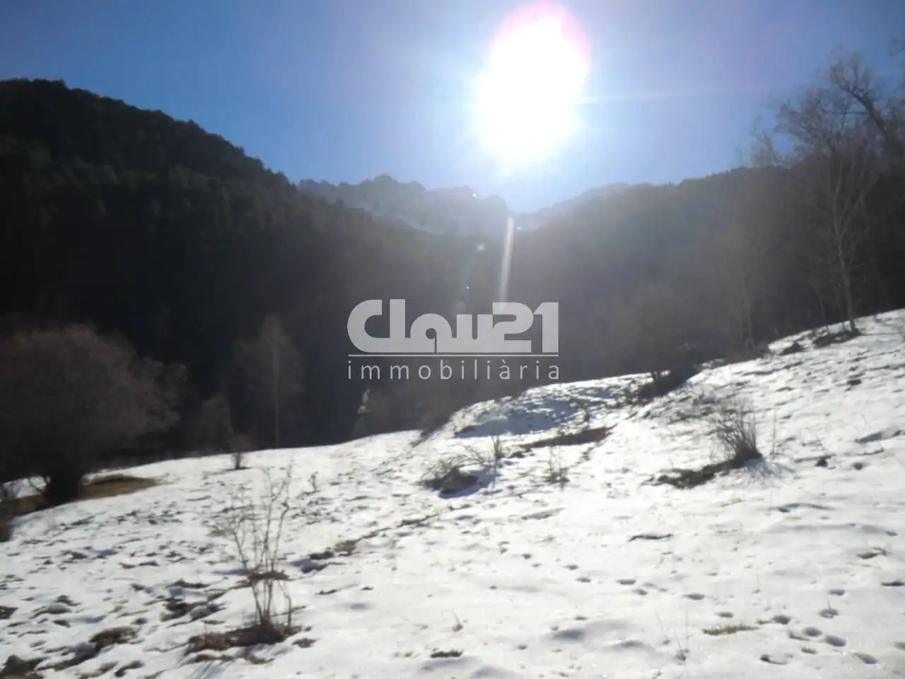 Casa o xalet en venda en Montellà i Martinet