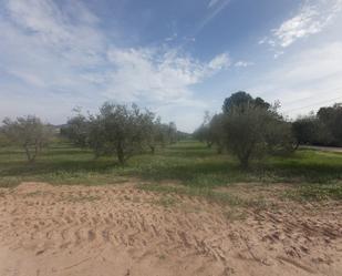 Land for sale in Villena