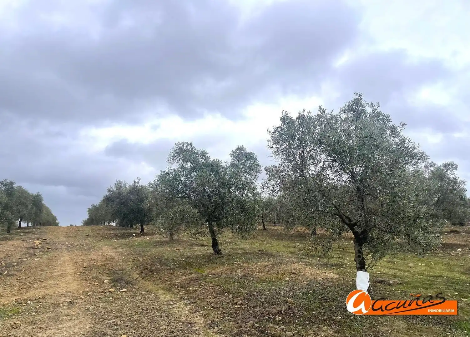 Terrenos y solares en venta en Alameda, imagen 47