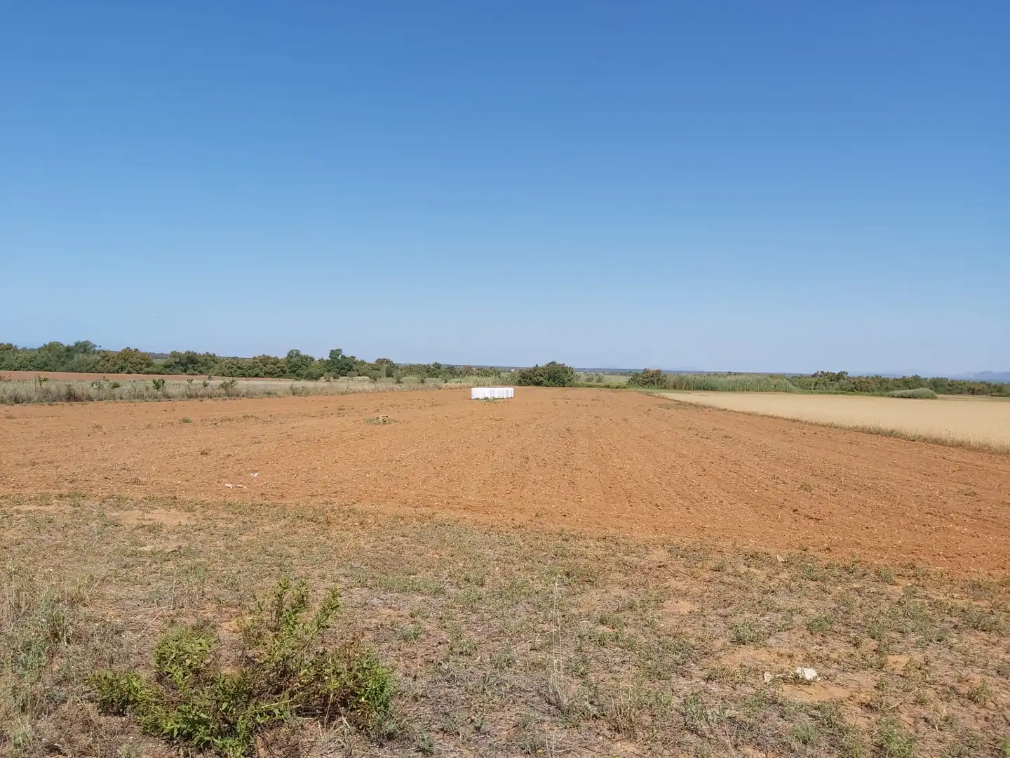 Finca rústica en venta en Campos