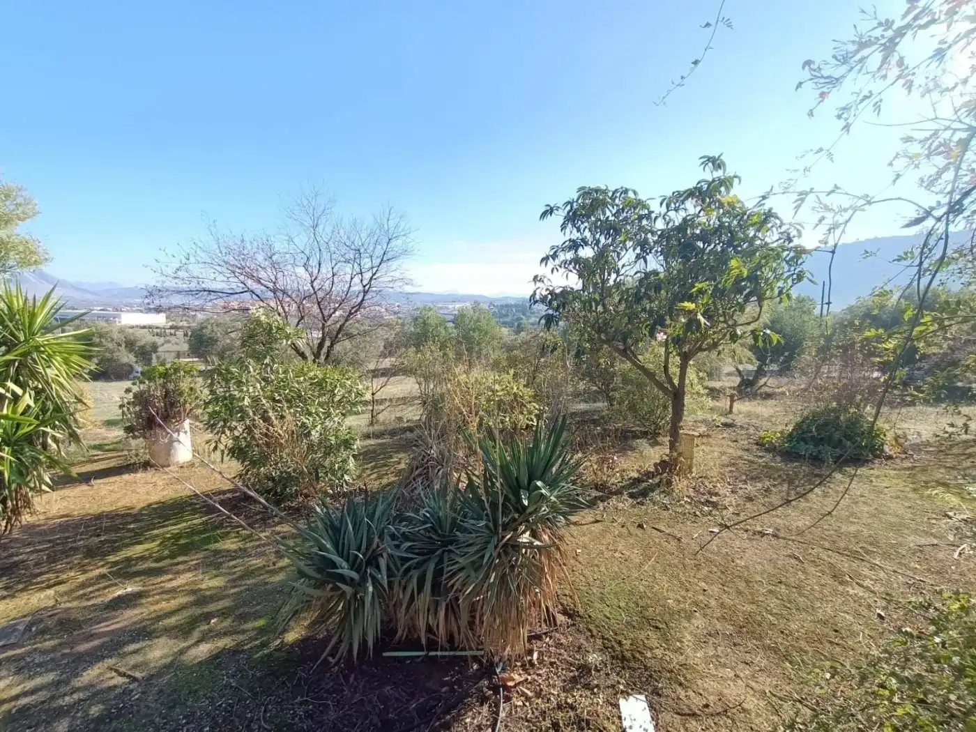 Casa rústica amb jardí en venda a Centro, imagen 34