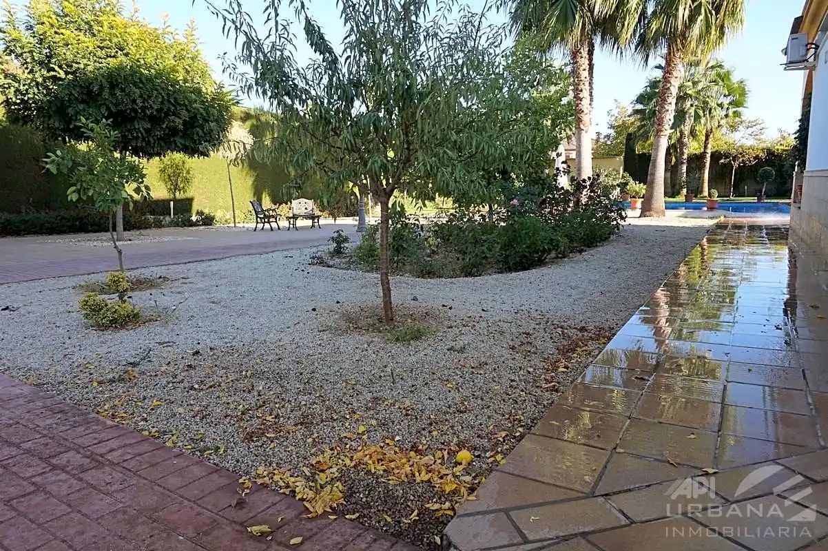 Casa amb terrassa en venda a Las Vegas - Campoaras, imagen 61
