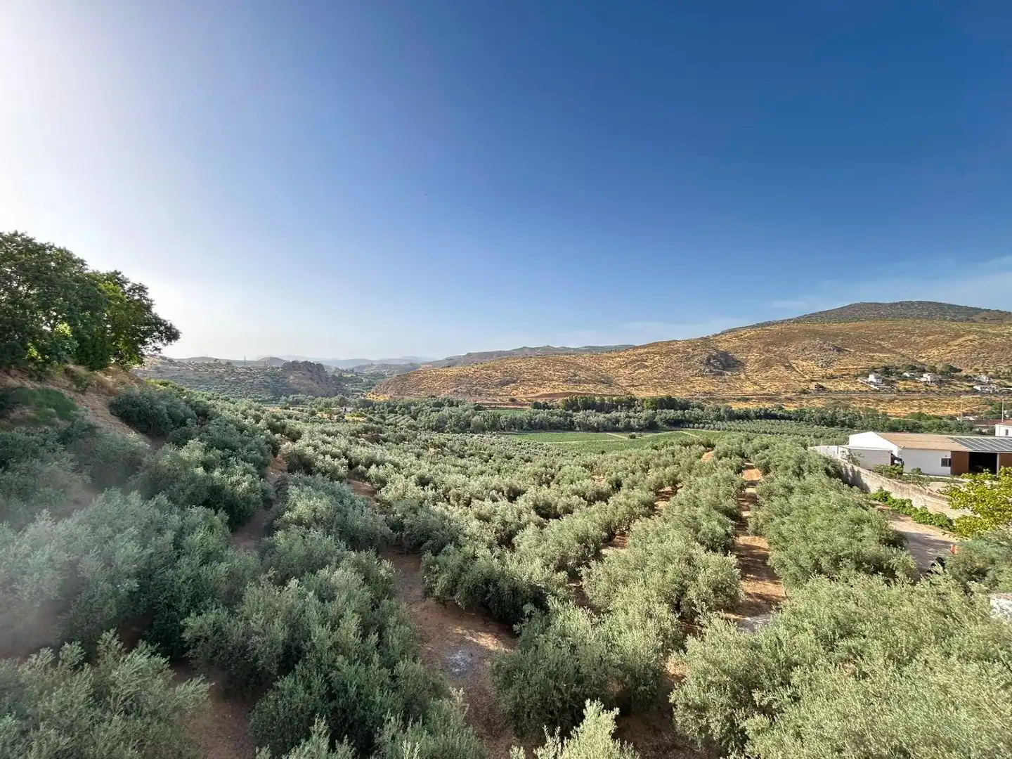 Maison avec terrasse à vendre à Loja, imagen 25